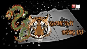 Chinh phục bài Rồng Hổ chi tiết cho người mới bắt đầu